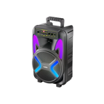 L-264 RONAQ 8-Inch Portable Bluetooth Party Speaker | Wireless Mic | RGB Lights | 2400mAh Battery